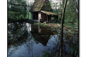 copyright by Thomas Bauer