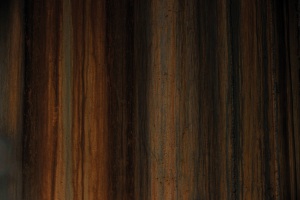 TOM1047_2_f