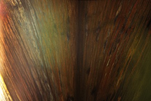 TOM1052_f