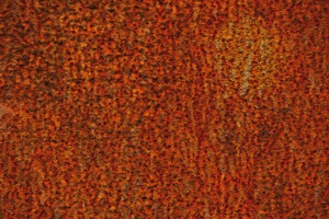 TOM1157_f