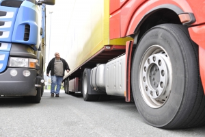copyright by Thomas Bauer